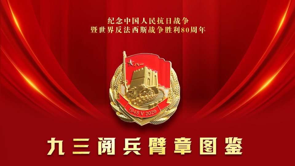 請收藏！九三閱兵臂章圖鑒