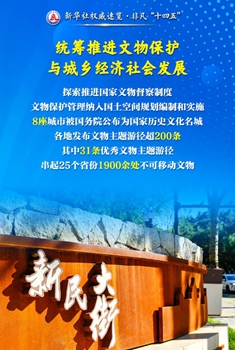 守護國之瑰寶，筑牢文明根基……看文物事業(yè)歷史性成就