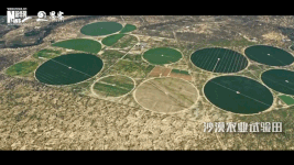 衛星見(jiàn)證，荒漠變綠洲