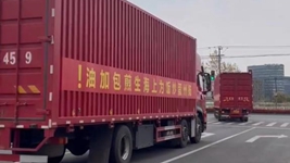 那只“跳進(jìn)”愛(ài)心蔬菜包的手機咋樣啦？請聽(tīng)刷屏“奇遇”后續……