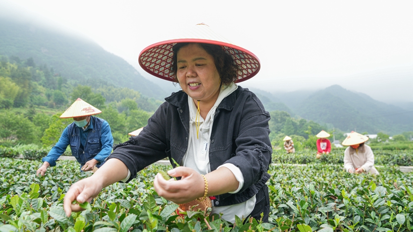 守“綠”換“金”！大別山區“兩山”實(shí)踐創(chuàng  )新基地觀(guān)察