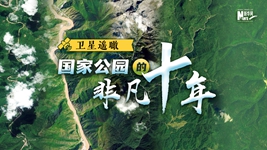 衛星遙瞰，國家公園的非凡十年