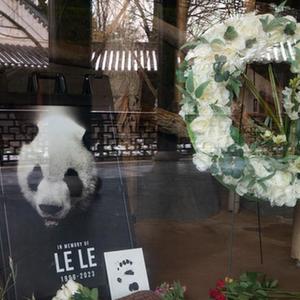 微信分享圖