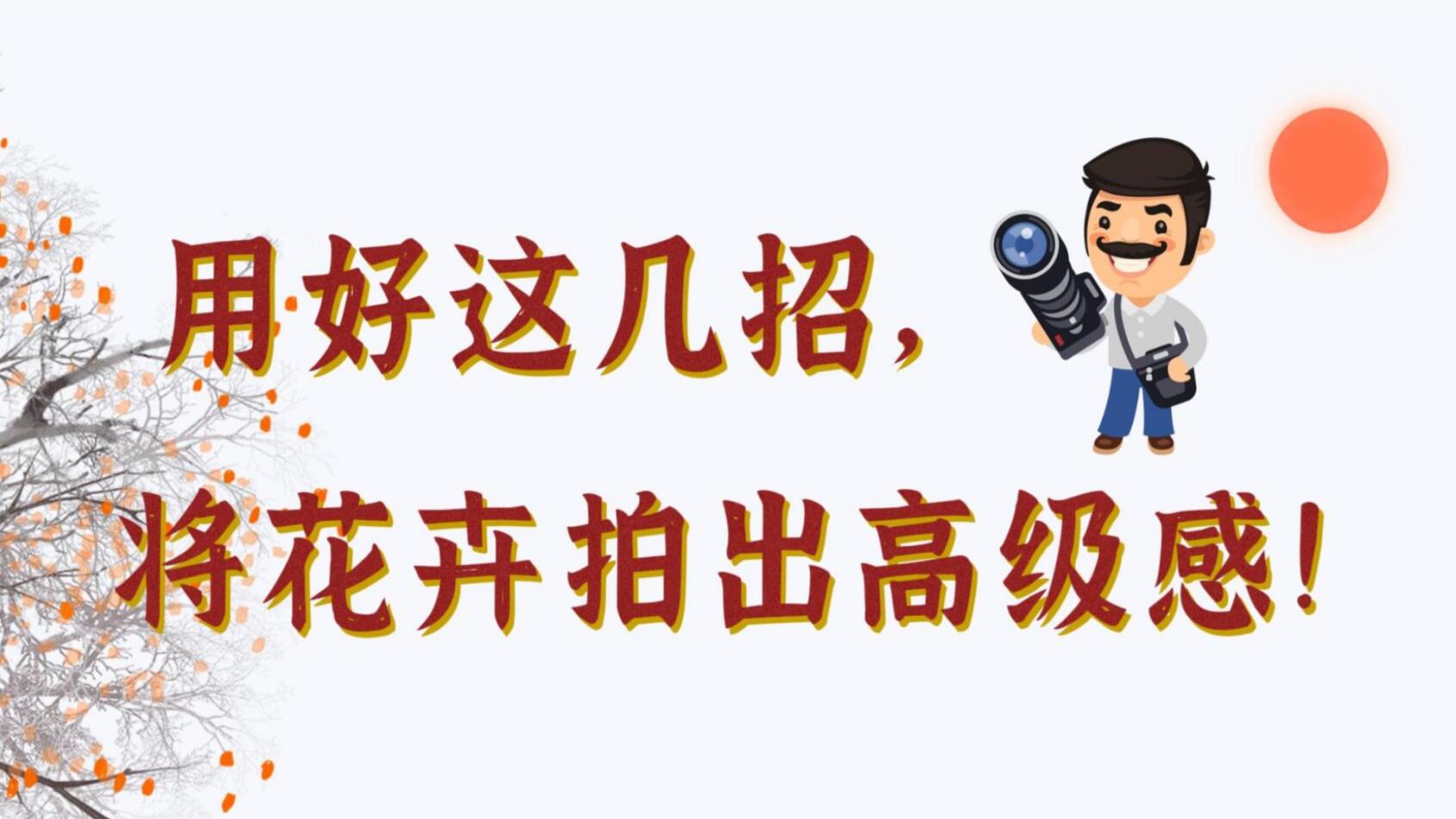 【光影輕課堂】用好這幾招，將花卉拍出高級感！