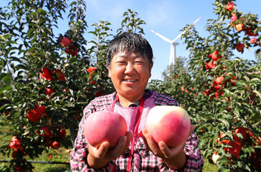 新華全媒+丨糧果豐收在望，農民喜上心頭