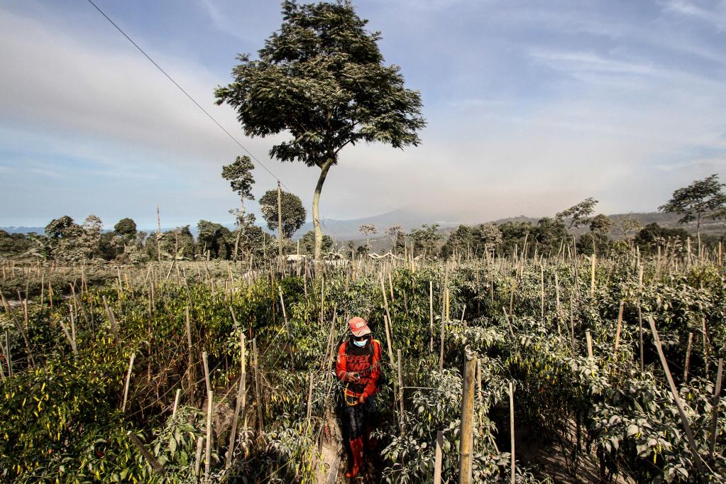 印度尼西亞：默拉皮火山持續噴發(fā)
