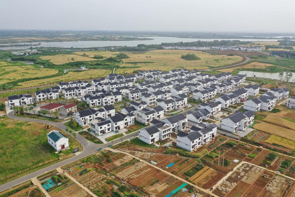 江蘇句容:夏日鄉村美