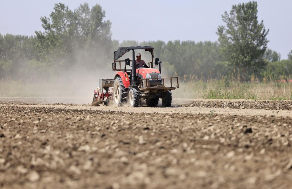 河北唐山：播種玉米大豆正當時(shí)