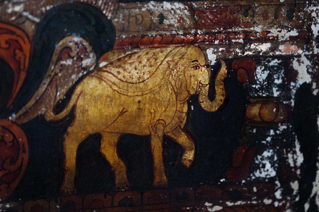 國道之行 從雪山奔向大海丨這么可愛(ài)的國寶，你見(jiàn)過(guò)嗎？