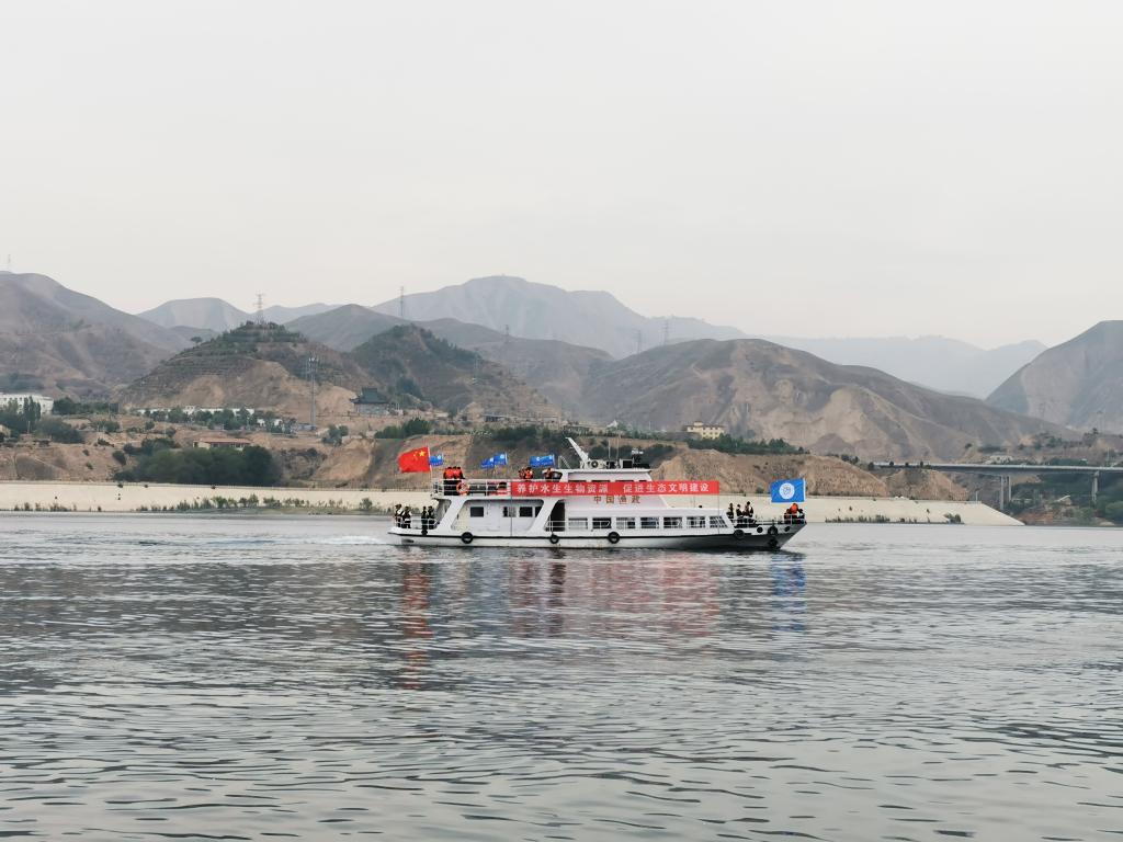 甘肅向劉家峽庫區放流鰱魚(yú)、鳙魚(yú)200萬(wàn)尾