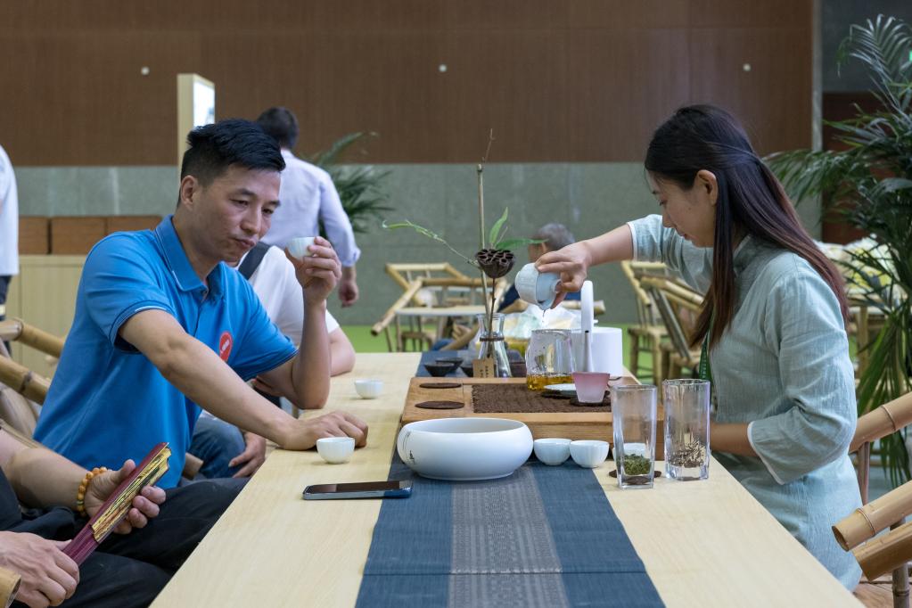 四川樂(lè )山：茶飄香 產(chǎn)業(yè)旺