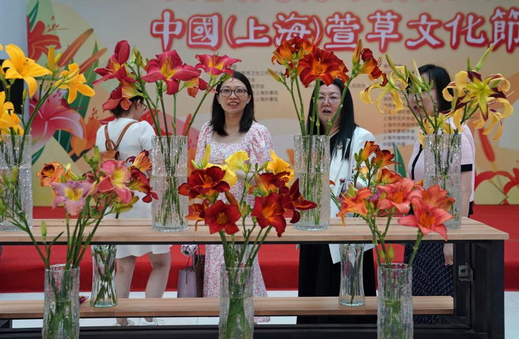 2023中國（上海）萱草文化節開(kāi)幕