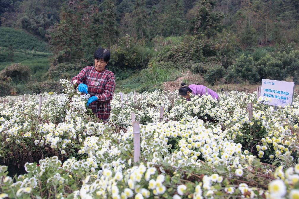 “智慧農業(yè)”助推產(chǎn)業(yè)提質(zhì)增效