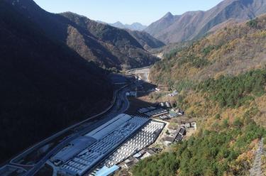 陜西寧陜：香菇產(chǎn)業(yè)助力鄉村振興