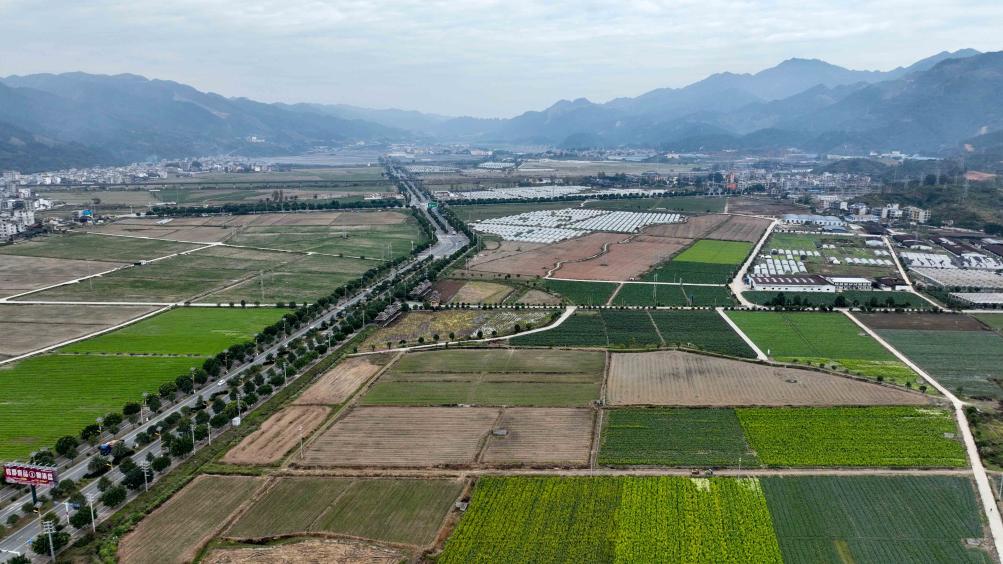 貴州榕江：打造大灣區“菜籃子”帶動(dòng)村民增收