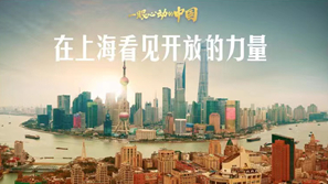 一眼心動(dòng)的中國丨在上?？匆?jiàn)開(kāi)放的力量