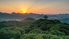 提升生態(tài)碳匯能力，植樹(shù)造林怎么干？