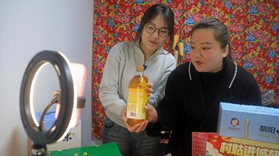 王穎：做 “有情懷，會(huì )妙招，富鄉親”新時(shí)代返鄉新農人