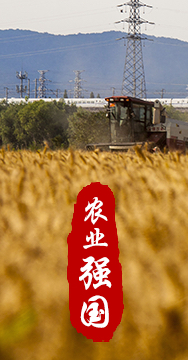 農業(yè)強國是社會(huì )主義現代化強國的根基。