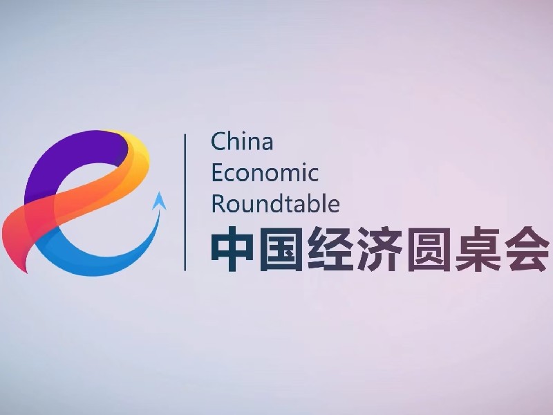 大型全媒體訪(fǎng)談節目“中國經(jīng)濟圓桌會(huì )”第二十期上線(xiàn)