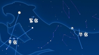 虎年來(lái)了，抬頭尋找天上的“白虎”
