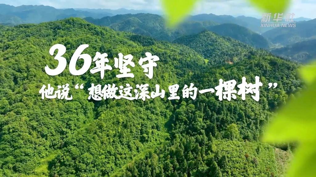 36年堅守！他說(shuō)“想做這深山里的一棵樹(shù)”