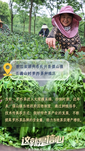 這就是信心丨應季收獲忙！看田間地頭上的增收新路子