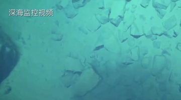 8919米！我國科學(xué)家首次探底雅浦海溝 成功采集深淵樣本
