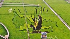 稻田畫(huà)引客來(lái)