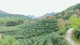 萬(wàn)象“耕”新！碼住人間四月天