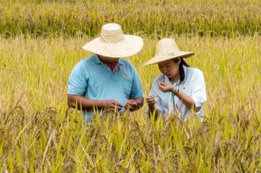 新華全媒+·二十大代表在基層丨利遠遠：當好鄉村振興“領(lǐng)頭雁”